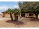 Charming single-story home featuring desert landscaping and mature palm trees in the front yard at 20408 N Tanglewood Dr, Sun City West, AZ 85375
