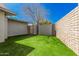 Well-maintained backyard with vibrant artificial grass, offering a clean and inviting outdoor space at 2202 E Lincoln Dr, Phoenix, AZ 85016