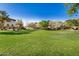 Expansive community green space with manicured lawn, mature trees, and well-maintained landscaping at 291 N Scott Dr, Chandler, AZ 85225