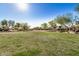 Wide community green space featuring a manicured lawn, trees, and shrubbery for outdoor enjoyment at 291 N Scott Dr, Chandler, AZ 85225