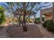 Beautiful backyard with a pergola-covered patio, lush greenery, and relaxing ambiance at 3859 E Wood Dr, Chandler, AZ 85249