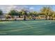Well-maintained community basketball court with clear markings and mature trees at 3859 E Wood Dr, Chandler, AZ 85249