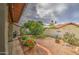 Landscaped backyard, paved patio, desert flora, and citrus trees enhance this outdoor oasis at 542 S Higley Rd # 102, Mesa, AZ 85206
