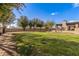 Expansive backyard featuring lush green grass, mature trees, and a covered trampoline, perfect for Gathering fun at 7215 W Union Hills Dr, Glendale, AZ 85308