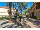 Well-maintained community area with outdoor grilling and lush landscaping at 9711 E Mountain View Rd # 2524, Scottsdale, AZ 85258