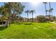 Expansive green lawn area with mature trees and landscaping in a serene community setting at 9711 E Mountain View Rd # 2524, Scottsdale, AZ 85258