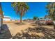 Expansive backyard space with a mature palm tree, bordered by a brick wall for privacy at 13807 N 33Rd Dr, Phoenix, AZ 85053