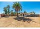 Spacious backyard with a large palm tree offering ample shade, perfect for outdoor activities at 13807 N 33Rd Dr, Phoenix, AZ 85053