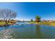 Serene lake view with lush greenery offers a tranquil backdrop for relaxation and outdoor activities at 20745 N Verbena Ln, Maricopa, AZ 85138