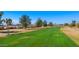 Wide shot of well-maintained golf course with lush green grass, trees, and residential homes at 2284 Leisure World --, Mesa, AZ 85206