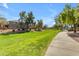 An expansive green space offers a path for walking or biking on manicured lawns with trees in the background at 2501 E Los Alamos St, Gilbert, AZ 85295