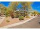 Well-manicured front yard with mature trees, colorful flowering bushes and tasteful landscaping, offering great curb appeal at 4061 N Point Ridge Rd, Buckeye, AZ 85396