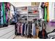 Walk-in closet with ample shelving and hanging space for organized storage at 6531 E Star Valley St, Mesa, AZ 85215