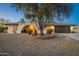 Charming home featuring a brick archway, a circular garden, mature shade tree, and a two-car garage at 11138 W Hatcher Rd, Sun City, AZ 85351