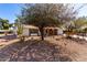 Desert-landscaped front yard featuring mature trees and cacti, complemented by a well-maintained single-story home at 11451 S Half Moon Dr, Phoenix, AZ 85044