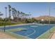 Well-maintained basketball court surrounded by palm trees and scenic mountain views, promoting outdoor recreation at 12231 S 185Th Ave, Goodyear, AZ 85338