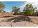 Backyard features brick pavers, mature trees, and a block fence, with lots of space at 12509 W Whyman St, Avondale, AZ 85323