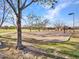 Sand volleyball court set in a community park with a grassy border and trees surrounding it at 18556 W Vogel Ave, Goodyear, AZ 85338