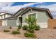 Charming single-story home with green siding, complemented by a well-maintained, low-maintenance desert landscape at 21743 N Daniel Dr, Maricopa, AZ 85138