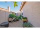 A low-maintenance backyard featuring an outdoor garden and a gravel area with vibrant greenery along the stucco wall at 7826 W Kerry Ln, Glendale, AZ 85308