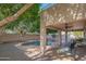 Backyard features a covered patio with ceiling fans overlooking the sparkling pool, and green trees at 7826 W Kerry Ln, Glendale, AZ 85308