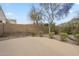 Expansive backyard with a neutral colored patio area, block wall for privacy, and desert landscaping at 908 E Mountain Sage Dr, Phoenix, AZ 85048