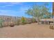 Serene backyard with desert landscaping, mature trees, and a built-in hot tub feature at 913 E Tekoa Ave, Gilbert, AZ 85298