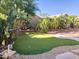 Backyard featuring a putting green, desert landscaping, cacti, and brick raised garden beds at 9632 W Runion Dr, Peoria, AZ 85382