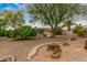 Backyard featuring a large tree, desert landscaping, and covered patio with a stone border leading to the house at 9918 W Willow Creek Cir, Sun City, AZ 85373