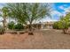 Expansive backyard featuring desert landscaping, mature trees, and a covered patio, perfect for outdoor living at 9918 W Willow Creek Cir, Sun City, AZ 85373