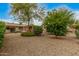 Backyard showcasing desert landscaping, mature foliage, and a covered patio that enhances the outdoor living experience at 9918 W Willow Creek Cir, Sun City, AZ 85373