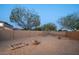 Spacious backyard with gravel, block fence, and mature trees at 13346 W Jesse Red Dr, Peoria, AZ 85383