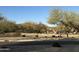 Community park featuring desert landscaping, playground equipment, and mountain views at 1708 W Dusty Wren Dr, Phoenix, AZ 85085