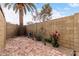 Back yard featuring a brick paved patio, desert plants, and a block wall for privacy and style at 1725 W Marlette Ave, Phoenix, AZ 85015