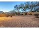 Gravel backyard featuring a fire pit, block wall, and desert landscaping at 1828 W Hemingway Ln, Anthem, AZ 85086