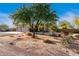 A large tree in the front yard shades the home with desert landscaping at 38301 N 15Th Ave, Phoenix, AZ 85086