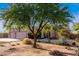 A large tree in the front yard shades the home with desert landscaping at 38301 N 15Th Ave, Phoenix, AZ 85086