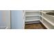 Walk-in pantry with custom shelving for ample storage at 4417 W Lawler Loop, Phoenix, AZ 85083