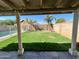 Lush backyard featuring green grass, tall privacy walls, and two palm trees at 4546 N 84Th Ln, Phoenix, AZ 85037