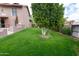 Expansive backyard with lush green grass, mature trees, and a well-manicured landscape, offering a serene outdoor space at 5045 E Redfield Rd, Scottsdale, AZ 85254