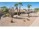 Single-story home featuring desert landscaping, palm trees and mountain views at 725 E Country Gables Dr, Phoenix, AZ 85022