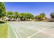 Outdoor basketball court with trees and manicured landscaping at 1756 E Bridgeport Pkwy, Gilbert, AZ 85295