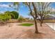 This is a spacious backyard with desert landscaping and a patch of vibrant green grass at 19601 N 14Th St, Phoenix, AZ 85024