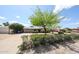 Well-maintained home featuring mature trees and a driveway leading to a charming single-story home at 3125 E Grovers Ave, Phoenix, AZ 85032