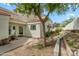 This landscaped backyard features white stucco walls, french doors, lush plantings, and mature trees for shade and privacy at 4225 N 21St St # 22, Phoenix, AZ 85016
