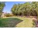 Spacious backyard with lush greenery providing a private outdoor retreat at 4714 E Angela Dr, Phoenix, AZ 85032