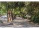 A beautiful tree-lined street shows a peaceful neighborhood with sidewalks and manicured landscaping at 6502 N Central Ave # A103, Phoenix, AZ 85012