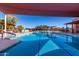 Large community pool with lane markers, and lounge chairs surrounded by palm trees and shaded seating areas at 8500 E Southern Ave # 447, Mesa, AZ 85209
