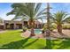 Lush backyard featuring a pool, grassy lawn, mature palm trees and patio, perfect for outdoor activities at 13126 E Turquoise Ave, Scottsdale, AZ 85259