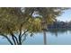 Beautiful lake view showcasing mature trees and a clear blue sky, enhancing the community's natural beauty at 16013 S Desert Foothills Pkwy # 2120, Phoenix, AZ 85048